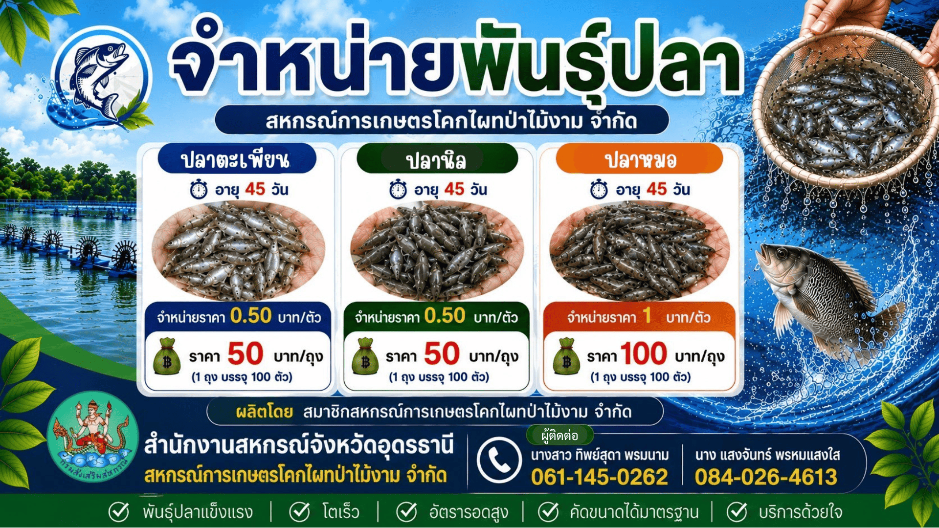fish250569