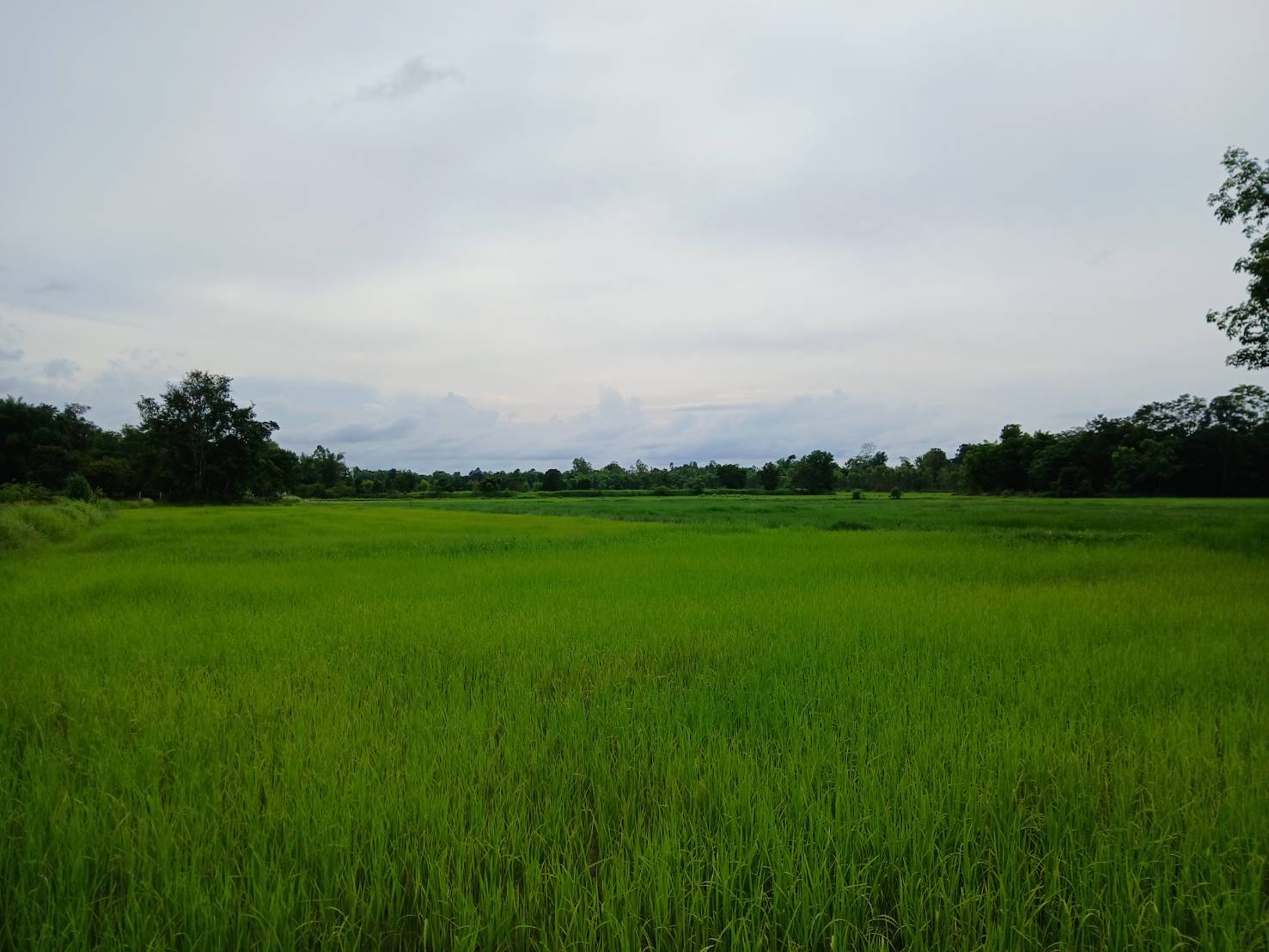 S 55500837