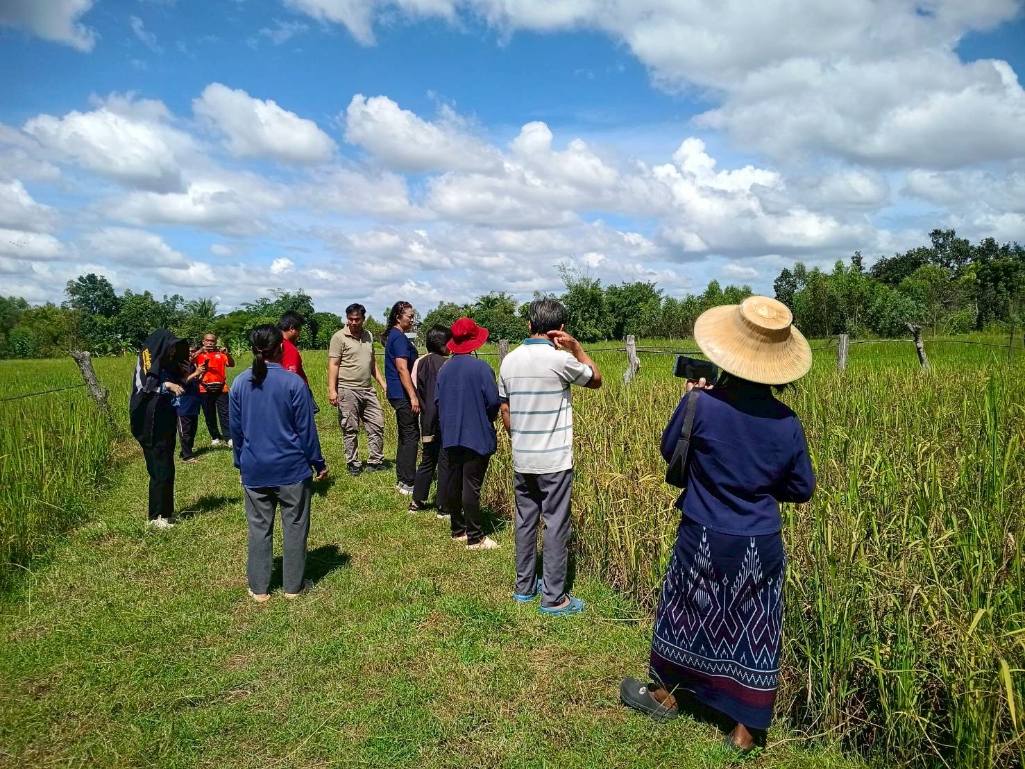 LINE ALBUM อบรมปลูกข้าวไรซ์เบอรี่ 251016 4