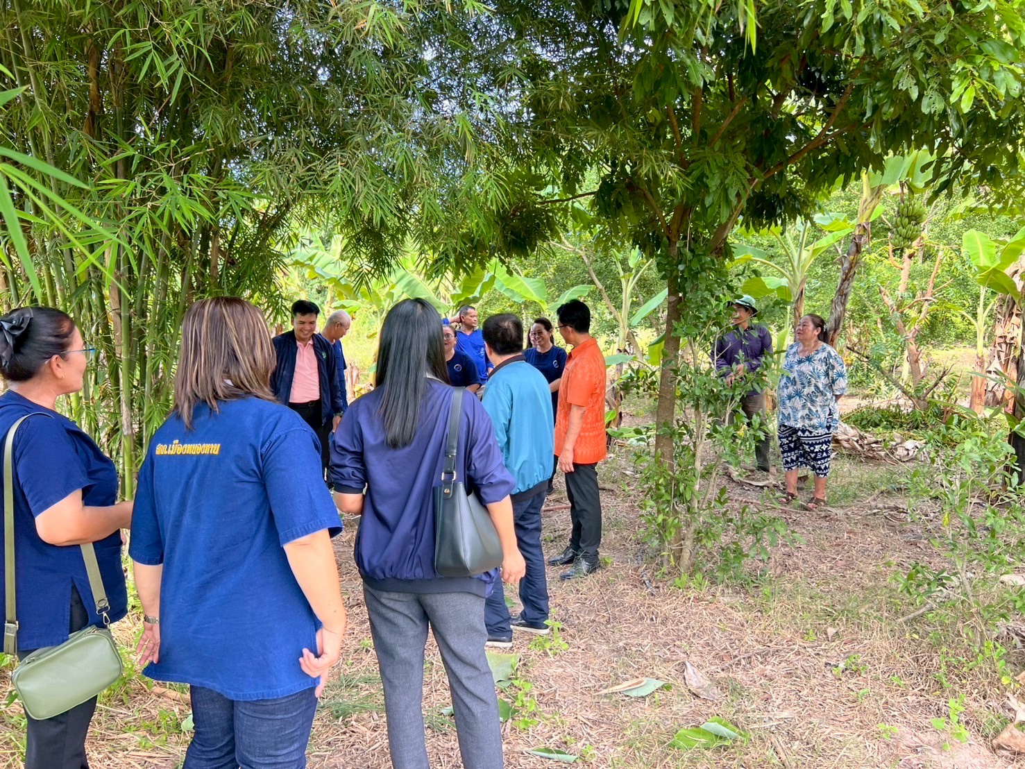 LINE ALBUM 180968 250918 66