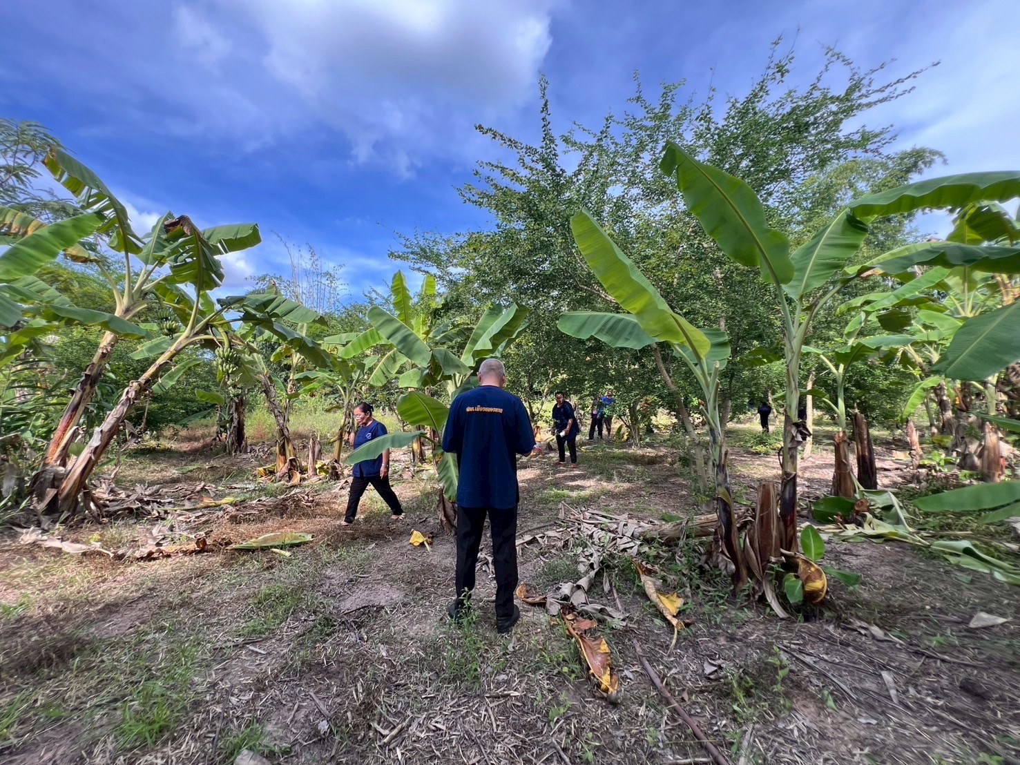 LINE ALBUM 180968 250918 67