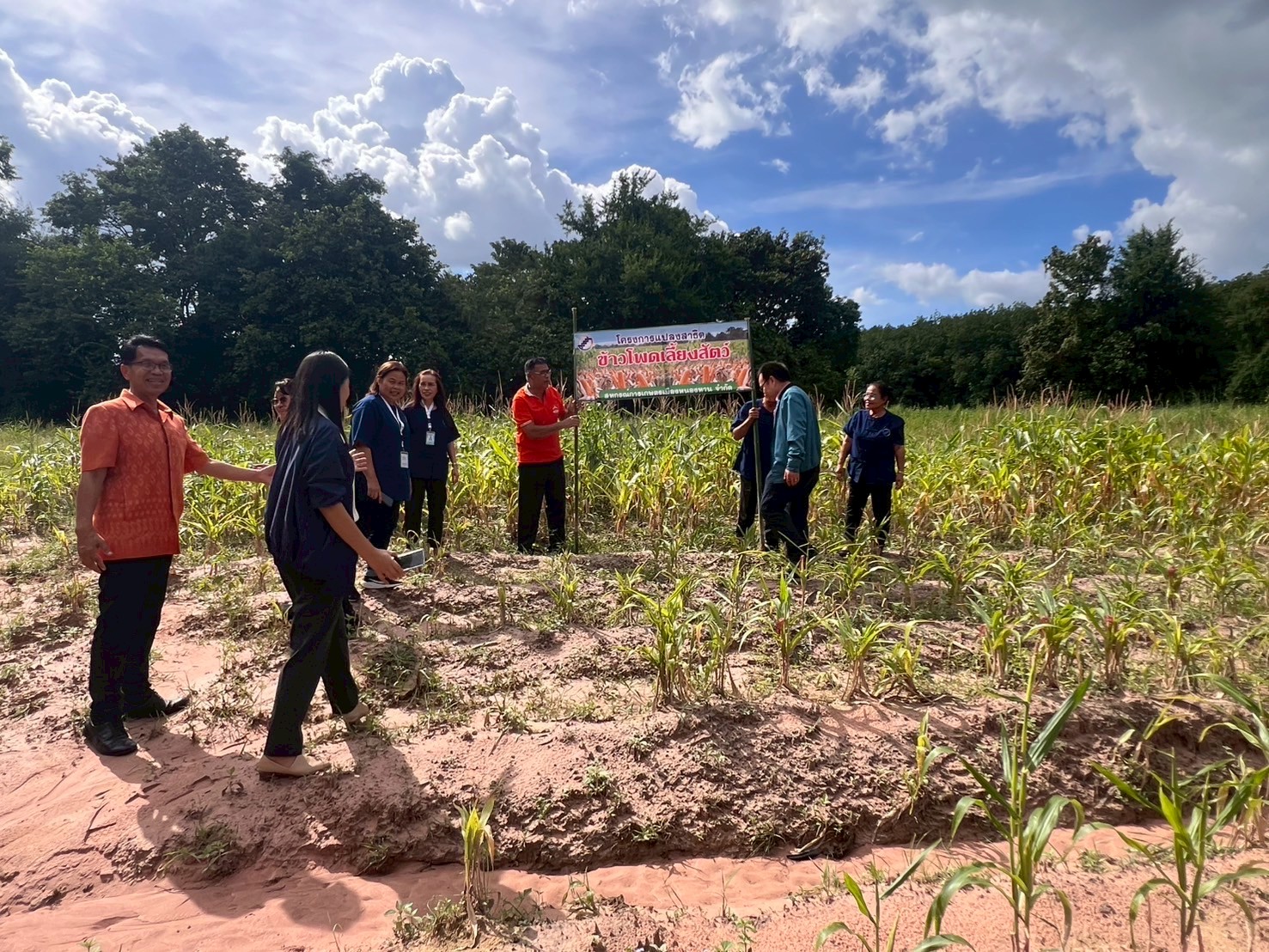 LINE ALBUM 180968 250918 72