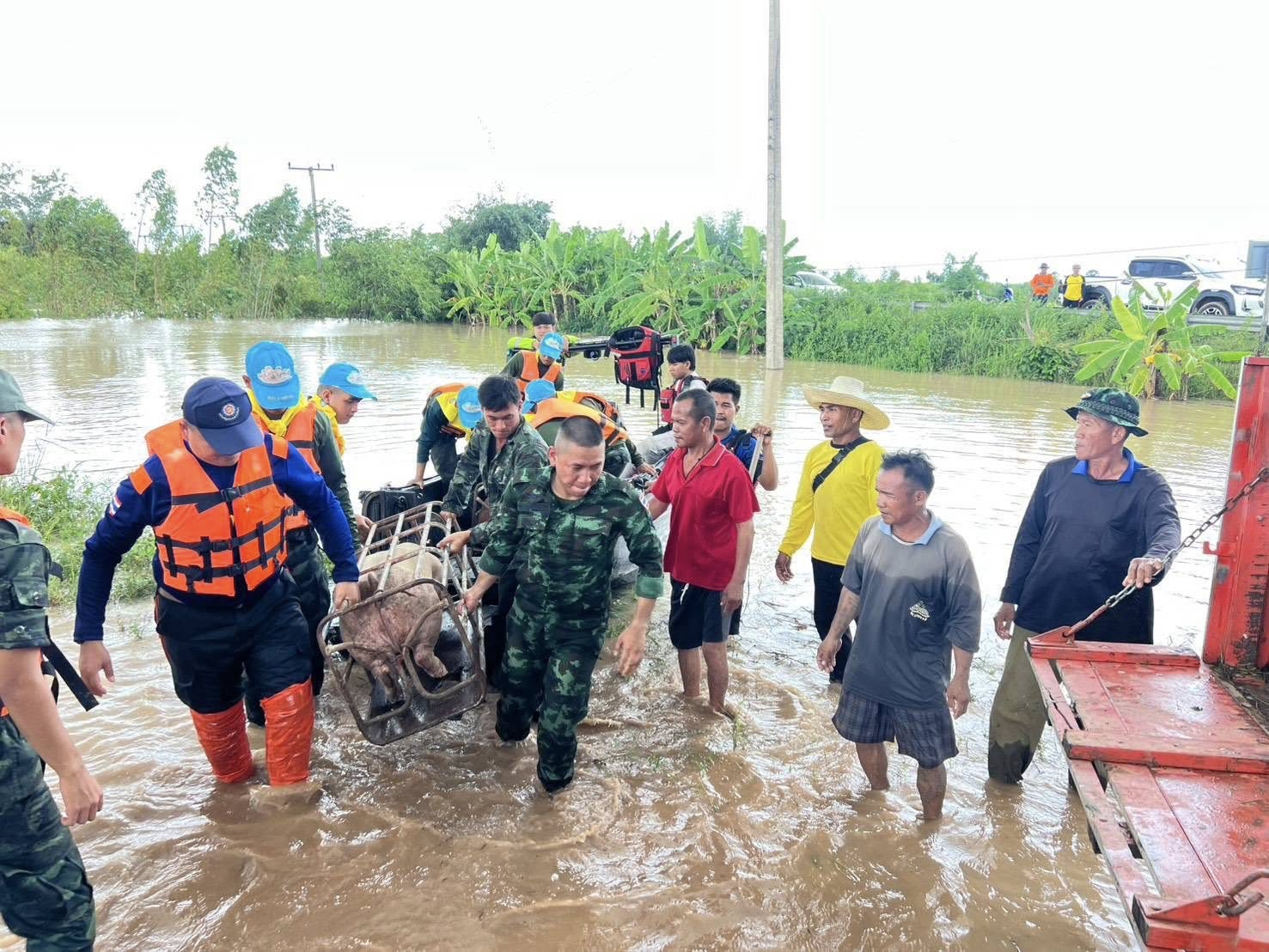 556472124 122155143494750512 3388841963392842340 n