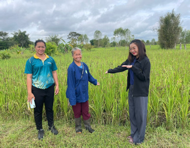 ติดตามผลการดำเนินงาน ... พารามิเตอร์รูปภาพ 1