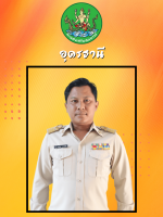 นายอาทิตย์  พรมทะรือ