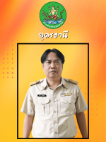 นายปัญญา  น้อยมะลิวัน