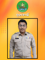 นายสุทธินันท์  สีแสง